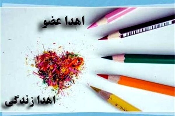 اهدای عضو به شش بیمار زندگی دوباره بخشید