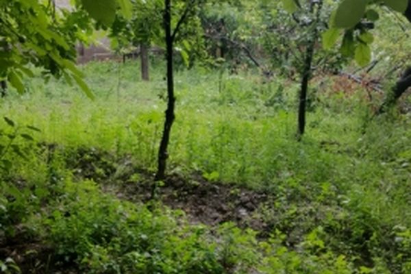 هم‌اکنون بارش باران در مشهد آغاز شده است