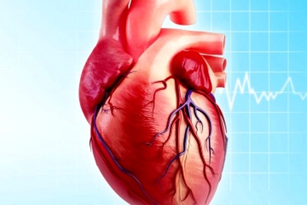 تولید دریچه‌های قلبی برای درمان نواقص مادرزادی