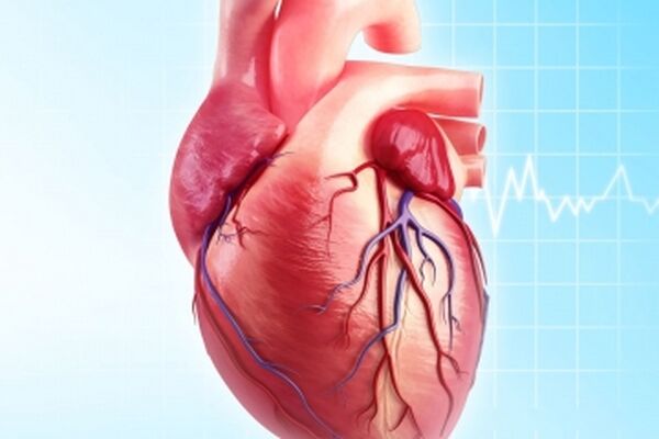 تولید دریچه‌های قلبی برای درمان نواقص مادرزادی