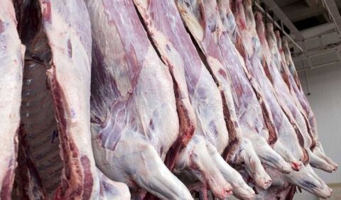 توزیع 75 تن گوشت وارداتی در بازار مشهد