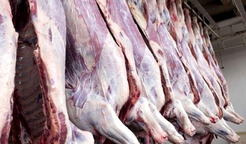 توزیع 75 تن گوشت وارداتی در بازار مشهد