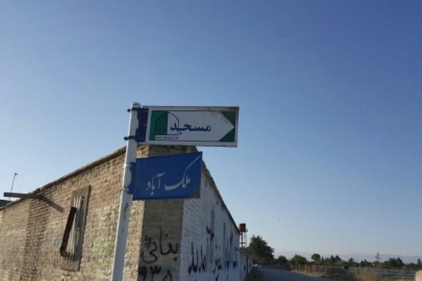 جولان سگ ها در ملک آباد