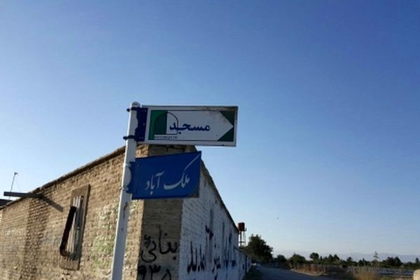 جولان سگ ها در ملک آباد