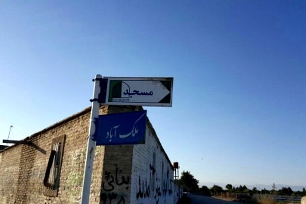 جولان سگ ها در ملک آباد