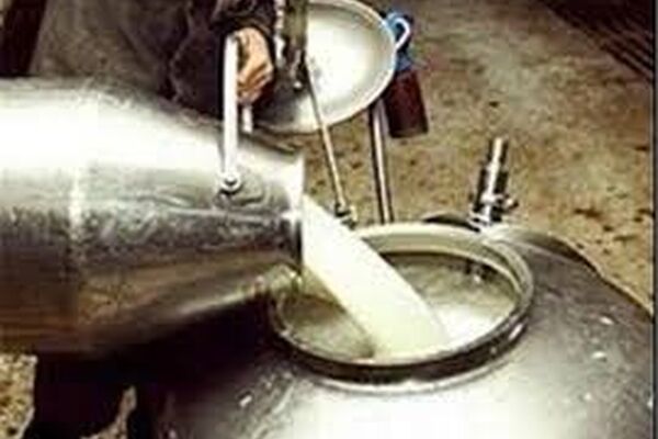 موافقت با افزایش قیمت خرید شیرخام/ هر کیلوگرم شیرخام درب کارخانه ۱۵۷۰ تومان