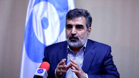 کمالوندی: دسترسی‌های آژانس محرمانه است