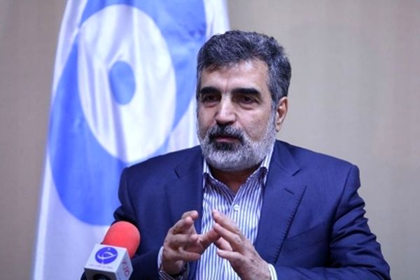 کمالوندی: دسترسی‌های آژانس محرمانه است