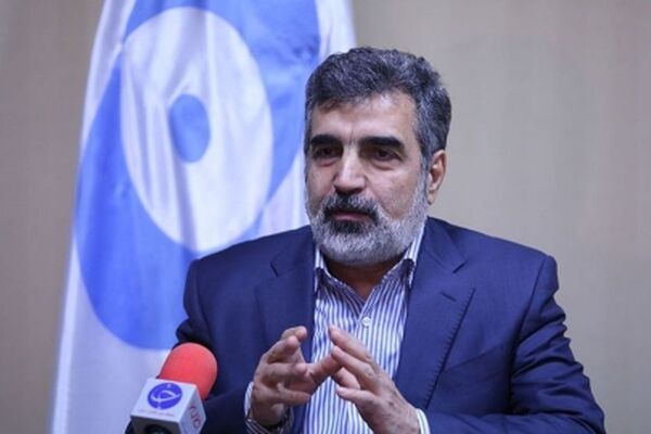 کمالوندی: دسترسی‌های آژانس محرمانه است