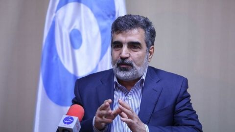 کمالوندی: دسترسی‌های آژانس محرمانه است