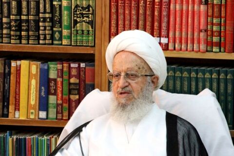 آیت‌الله مکارم‌ شیرازی: جلوی گرانی لجام گسیخته گرفته شود