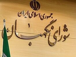 اظهارنظر شورای‌نگهبان درباره‌قوانین باعث اختلال می‌شود
