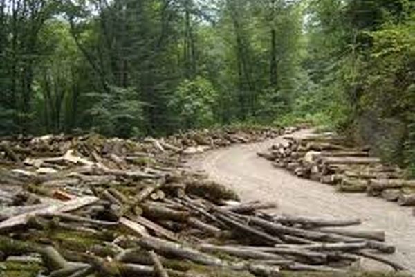 مسير مرگ و گرسنگی