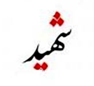 شهادت سربازی که فقط 4 روز خدمت کرده بود!