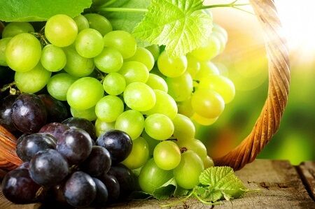 میوه لاغری در وعده صبحانه