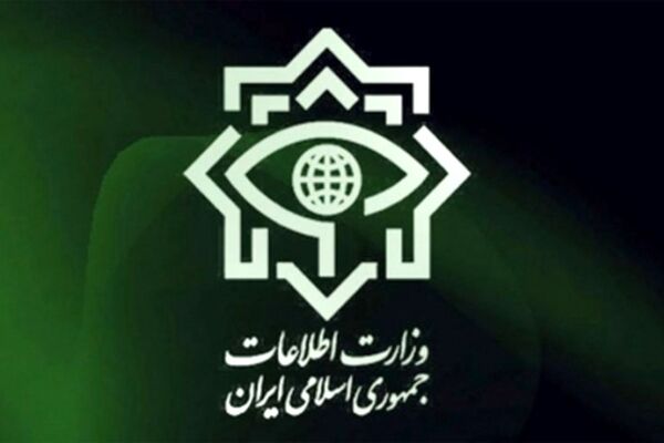 دستگیری عضو داعش در جنوب کشور
