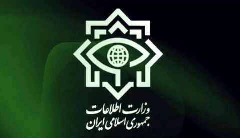 دستگیری عضو داعش در جنوب کشور