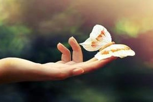 وسیله ای برای به دست آوردن ثواب آخرت درکلام امام هادی(ع)