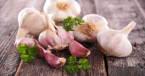 آیا از خطرات مصرف سیر اطلاع دارید؟