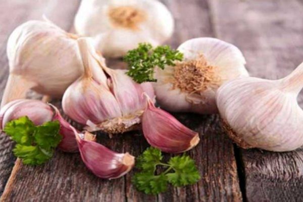 آیا از خطرات مصرف سیر اطلاع دارید؟