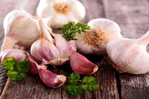 آیا از خطرات مصرف سیر اطلاع دارید؟