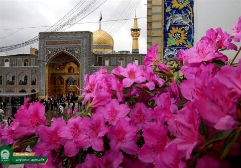 فضاهای زیارتی حرم مطهر رضوی توسعه می‌یابد