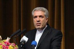واکنش رییس سازمان میراث فرهنگی کشور در رابطه با زائران عراقی