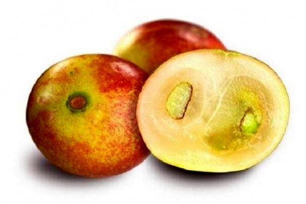 میوه ای که از چاقی و بیماری های متابولیک پیشگیری می کند