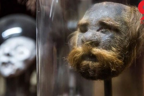 عجیب ترین ها در موزه ای به رنگ خون + تصاویر