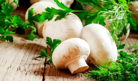خوردن قارچ برای چه کسانی ممنوع است؟