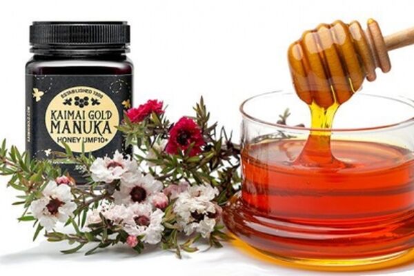 جالب ترین و عجیب ترین کاربردهای عسل برای بدن و سلامتی