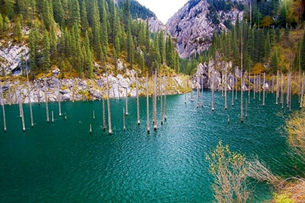 عجیب ترین دریاچه دنیا با درختانی وارونه