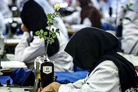 ۷ هزار زن سرپرست خانوار از بیمه بازنشستگی برخوردار شدند
