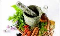 ساخت دارویی از گیاهان بومی ایران برای رفع درد زانو