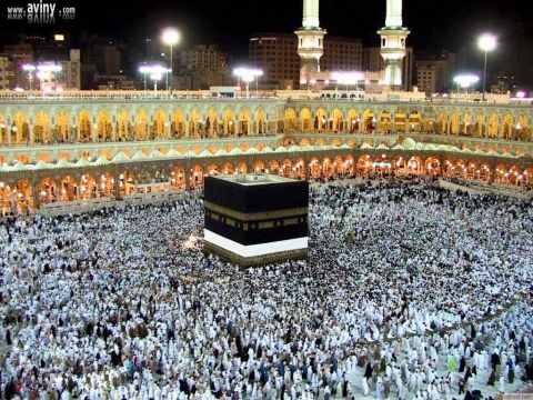 ورود بیش از 64 هزار زائر ایرانی به سرزمین وحی