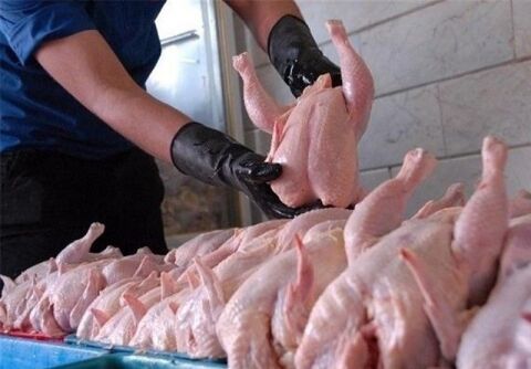 قیمت مرغ هم حبابی شد!