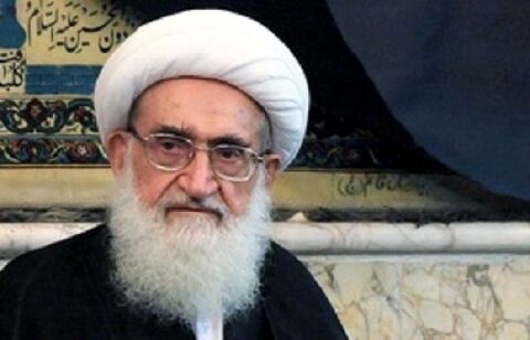 واکنش آیت الله نوری همدانی به حواشی تجمع فیضیه