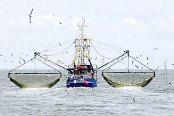 درد دل جدید سازمان شیلات درباره صیادان چینی