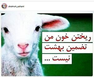 حکم جدید خانم بازیگر درباره قربانی کردن!