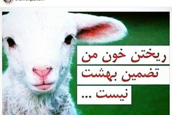 حکم جدید خانم بازیگر درباره قربانی کردن!