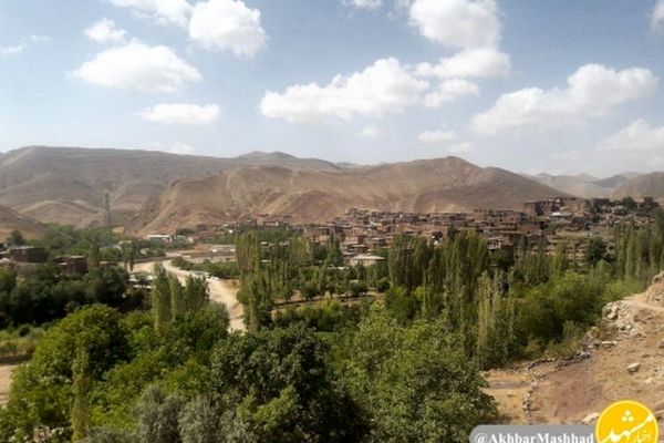 کشت اختصاصی روستای بقمچ