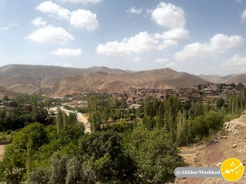 کشت اختصاصی روستای بقمچ