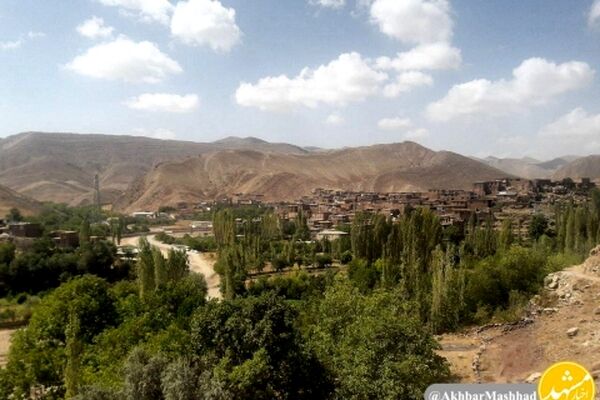 کشت اختصاصی روستای بقمچ