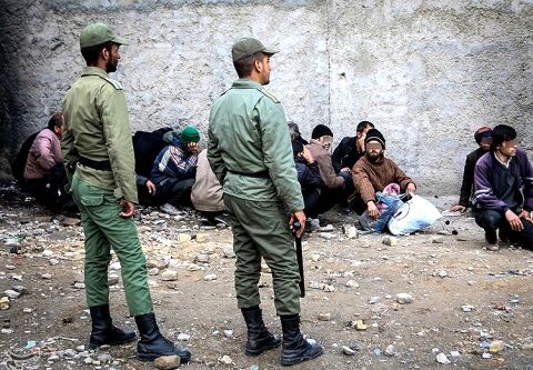 329 معتاد متجاهر و خرده فروش در مشهد جمع آوری شدند
