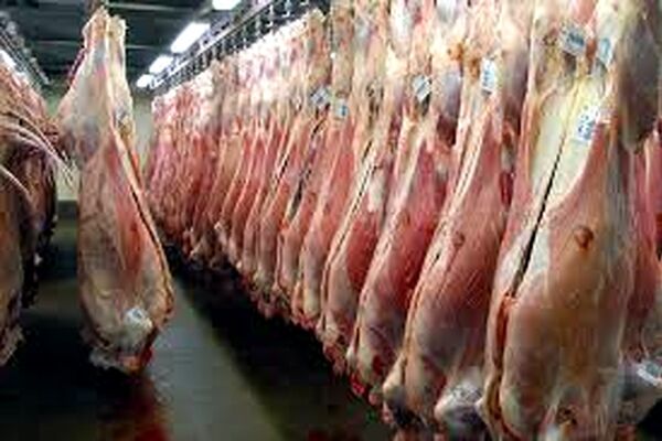کار توزیع گوشت مورد نیاز هیئت های مذهبی آغاز شده است