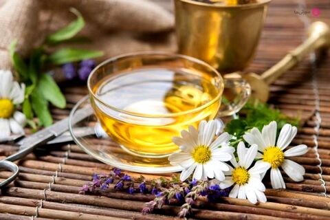 معرفی ۵ دمنوش مفید برای لاغری و رسیدن به تناسب اندام