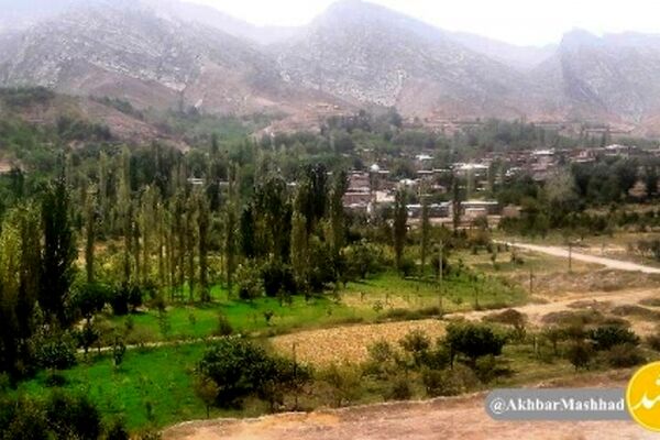 نگاهی به گاه