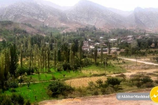 نگاهی به گاه