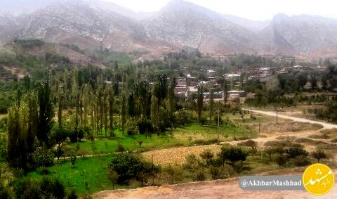 نگاهی به گاه