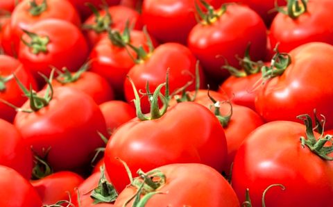 مقصر گرانی گوجه کیست؟